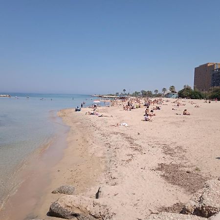 בארי Afrodite מראה חיצוני תמונה